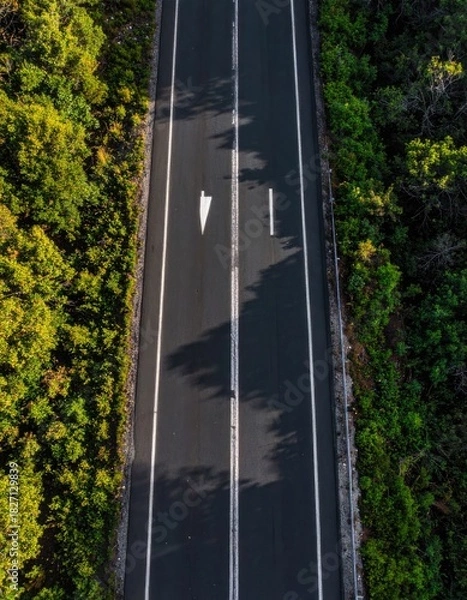 Fototapeta Aerial view of empty asphalt road lined with lush green trees