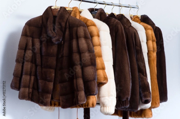 Obraz Fur coats.