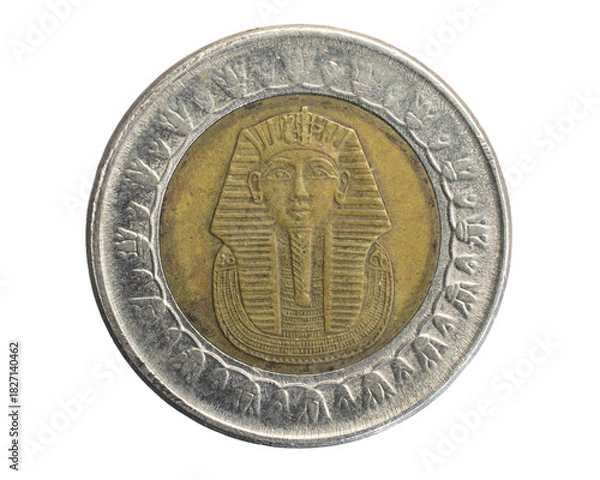 Obraz Egypt one pound coin on white isolated background