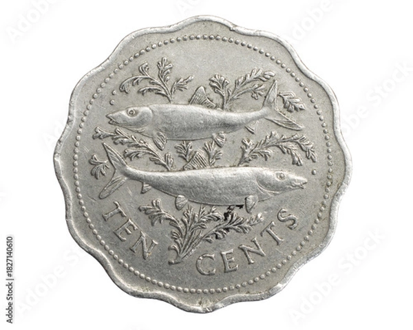 Obraz Bahamas ten cents coin on white isolated background