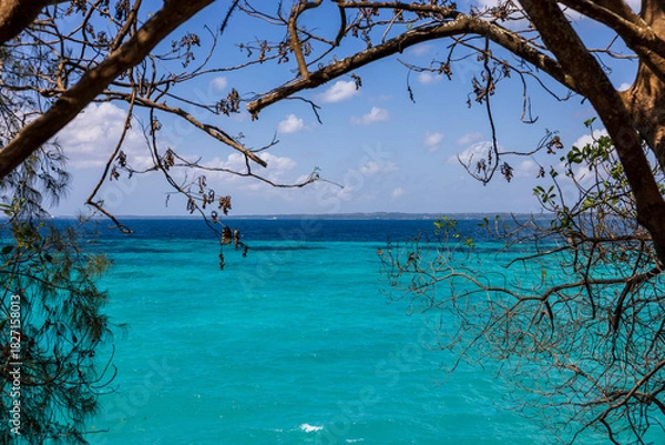 Obraz Vibrant turquoise and deep blue ocean framed by tree branches under a clear sky.