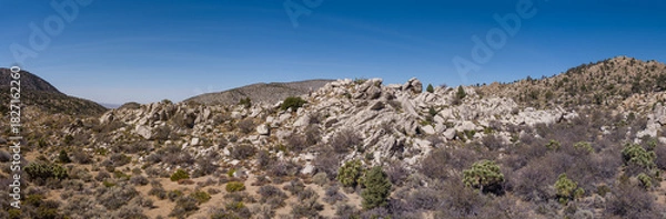Obraz Shattered Rock Formation in Mojave Desert