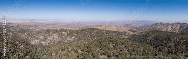 Obraz Pine Covered San Bernadino Mountains in California.dng