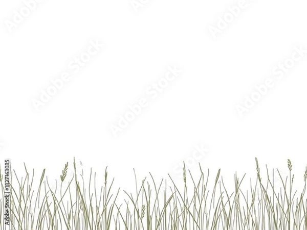 Fototapeta Clean line-art meadow and grass border set in a simple monochrome style.