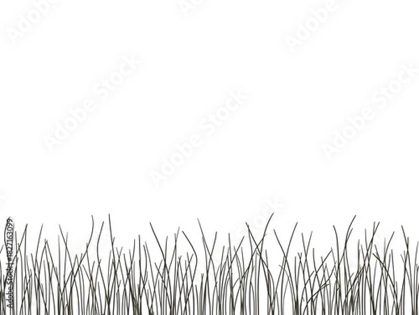 Fototapeta Minimal hand-drawn grass and meadow border on a clean white background.