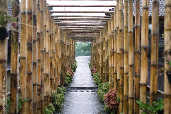 Fototapeta Bamboo tunnel walkway with lush plants and wet paved path