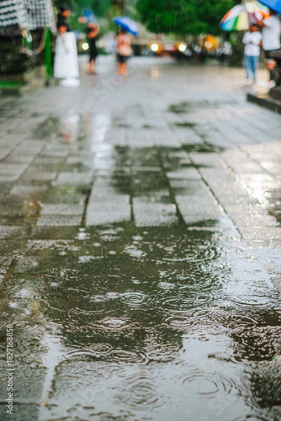 Fototapeta Title Raindrops on Pavement with Blurred Background