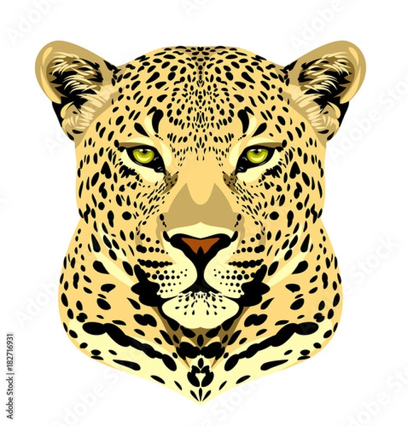 Obraz Portrait of a leopard