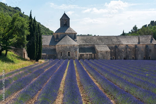 Fototapeta Kloster abbaye de Senanque
