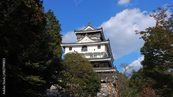 Obraz 岩国城天守閣3