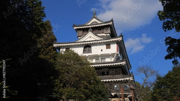 Obraz 岩国城天守閣4