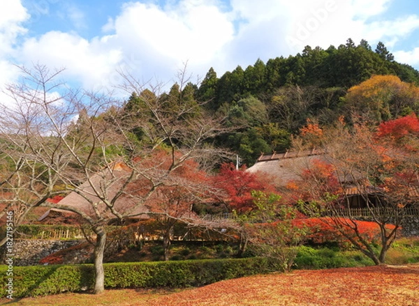 Obraz 重源の郷（山口県）の紅葉3