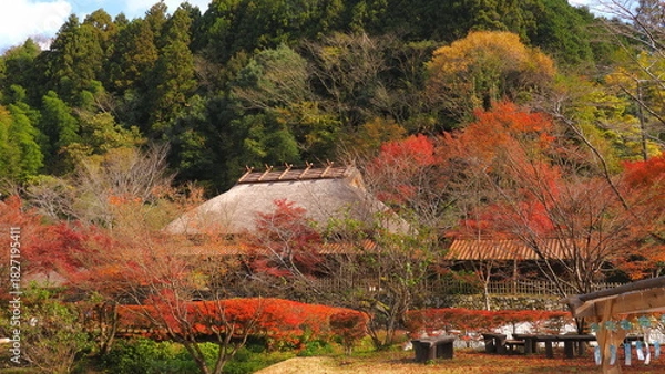 Obraz 重源の郷（山口県）の紅葉4