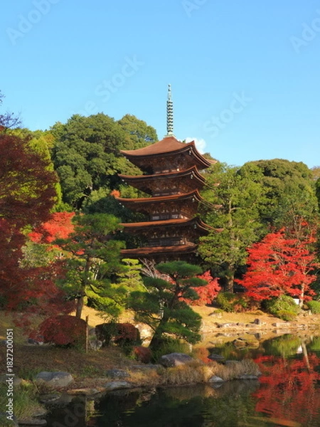 Obraz 瑠璃光寺（山口県）の紅葉2