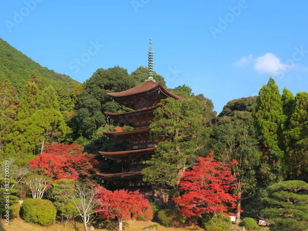 Obraz 瑠璃光寺（山口県）の紅葉4