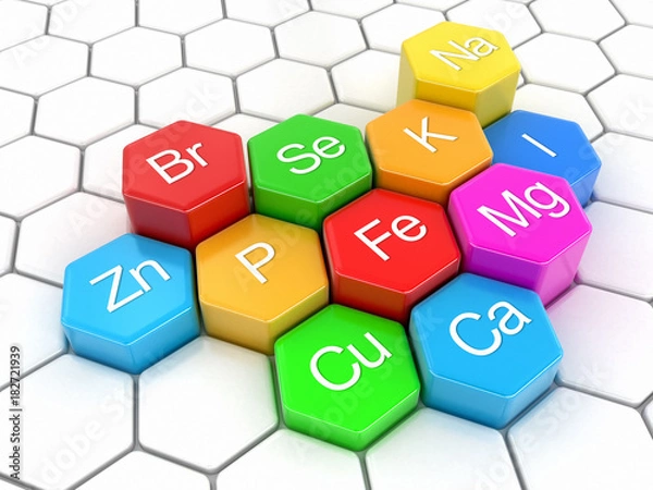 Obraz Nutrition elements