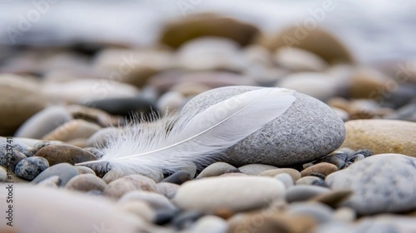 Fototapeta A delicate white feather lies on a collection of smooth, rounded stones on a beach. The background is softly blurred, suggesting a calm, natural environment wit