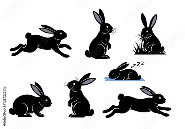 Obraz Black Rabbit Silhouettes in Various Poses on White Background.