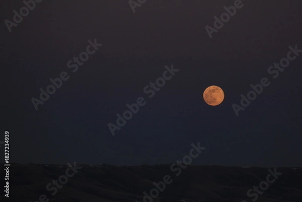 Fototapeta Super Worm Moon on the first day of Spring March 20, 2019.