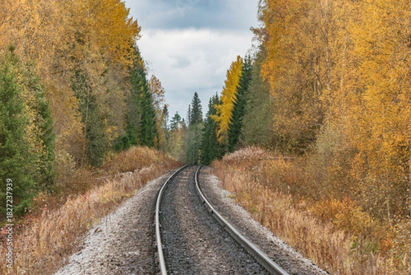 Obraz Railway line in the autumn forest.