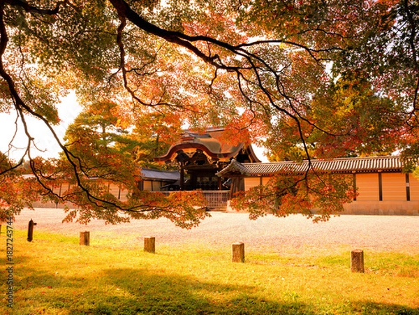 Fototapeta 紅葉し始めたモミジ越しに見る京都御所の建春門