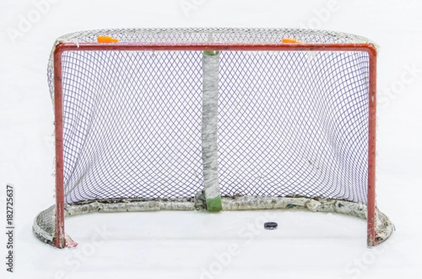 Fototapeta ice hockey net with puck