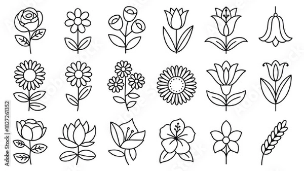 Fototapeta Collection of floral elements outline drawing botanical illustrations and sketches