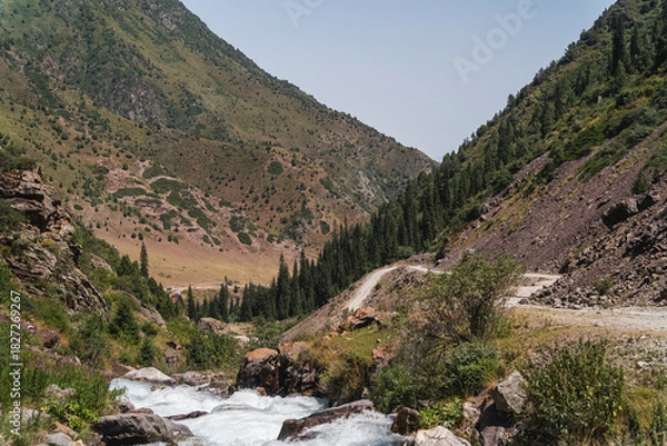 Obraz river in the mountains