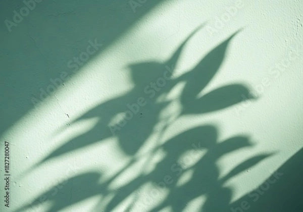 Fototapeta Subtle leaf shadows on a light green textured wall backdrop surface