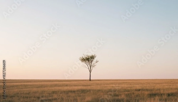 Fototapeta Solitary Tree Standing Tall in a Vast Field Under a Pastel Sky Landscape Simplicity