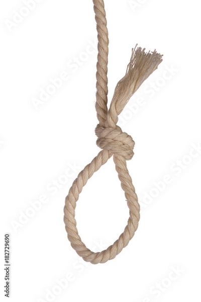 Obraz NOOSE
