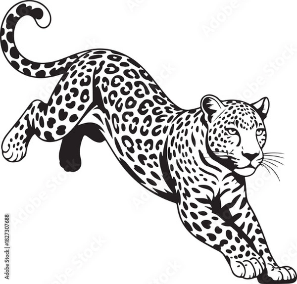 Fototapeta Leopard pouncing svg