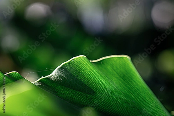Fototapeta Green Future Breeze Environmental Responsibility in Focus