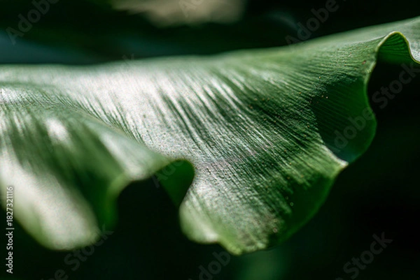 Fototapeta Green Future Breeze Environmental Responsibility in Focus