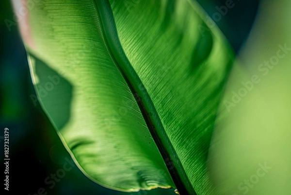 Obraz ESG A Clean and Conscious Texture Eco-Driven Texture: The Path Toward a Greener Future Green