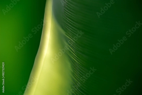 Fototapeta Emerald Harmony Stream A Journey to Net-ZeroClean Energy Flow  Abstract Ecosystem Movement Green Horizon Fade Vision for a Sustainable Tomorrow Eco Balance Wave Nature-Inspired ESG Aesthetics