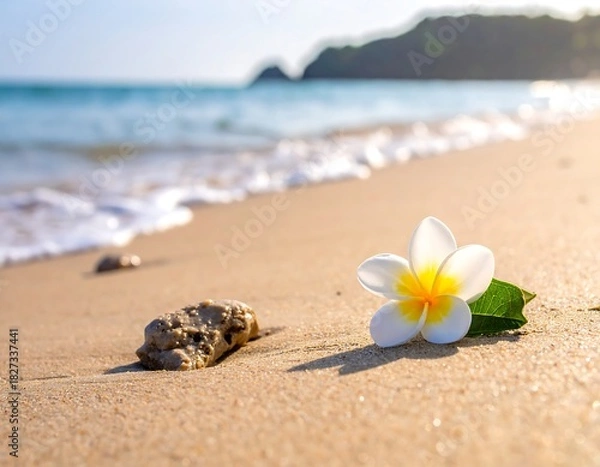 Fototapeta Sunny beach scene with a plumeria flower and a rock