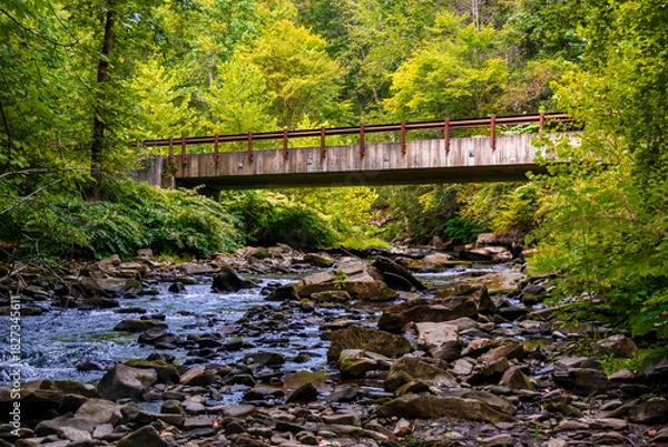 Obraz Thurmond Rd Bridge