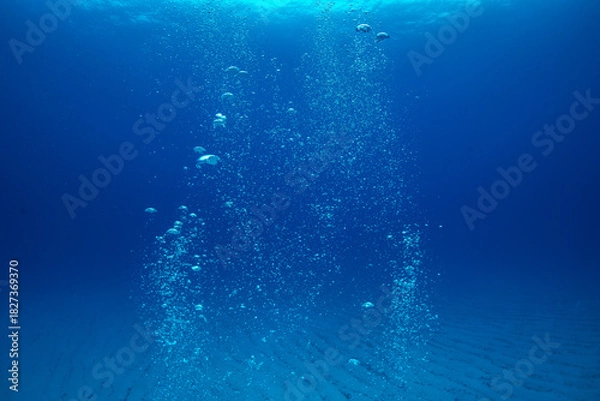 Obraz ダイバーの泡　小笠原