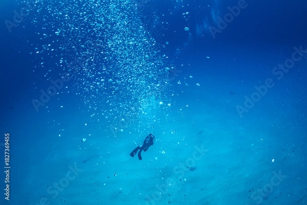 Obraz ダイバー　小笠原