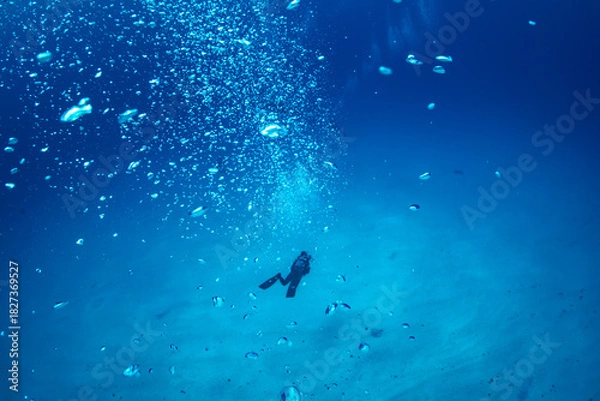 Obraz ダイバー　小笠原