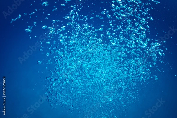 Obraz ダイバーの泡　小笠原