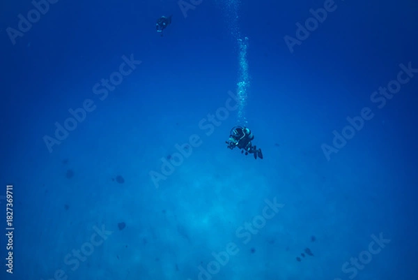 Obraz ダイバー　小笠原