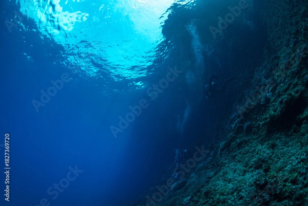 Obraz 南島の海中　小笠原