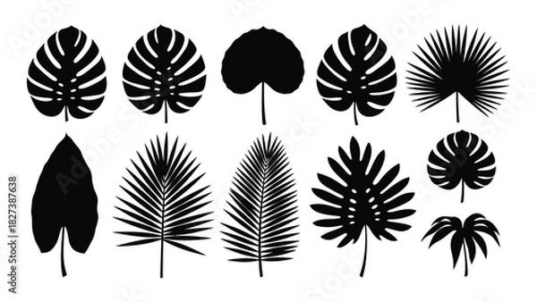 Fototapeta Set of tropical leaf silhouettes isolated on white background, Vector