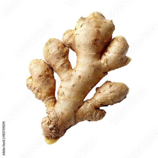Obraz ginger root created with ginger isolated on with white background(2)