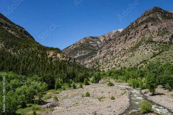 Obraz Flood Plain for Mountain Stream in Wyoming