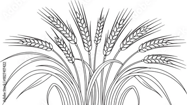 Obraz Line art illustration of a bundle of wheat stalks with leaves.