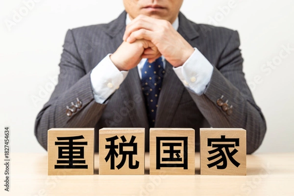 Obraz 「重税国家」と書かれたブロックとビジネスマン