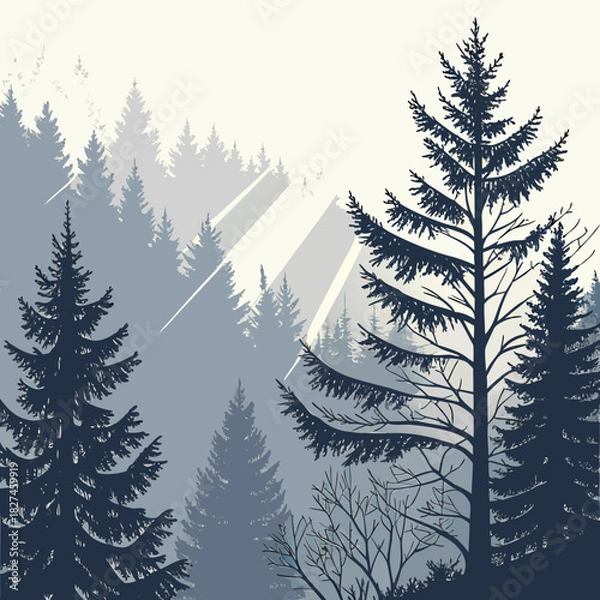 Obraz Misty coniferous forest with sunbeams breaking through the trees creating a serene and tranquil natural landscape